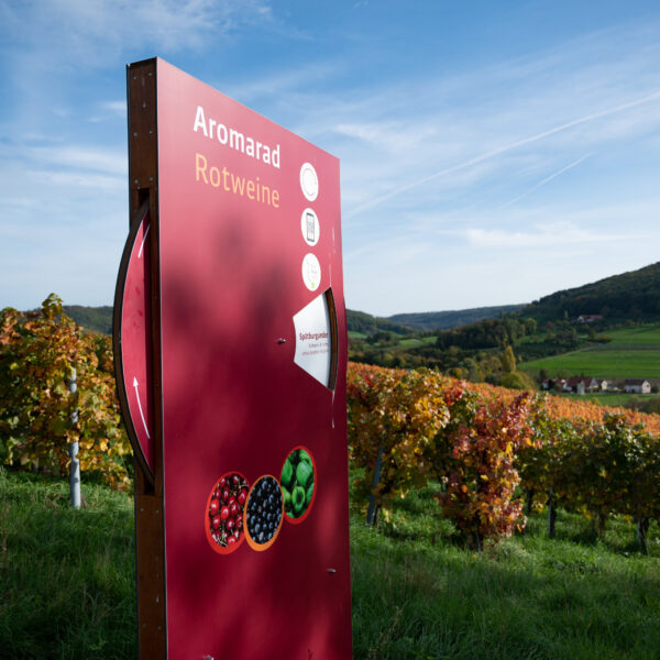 WeinWege Hohenlohe Pfedelbach Michelbach